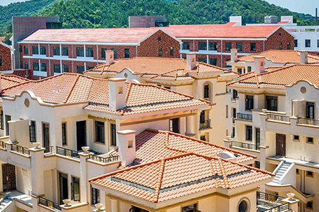 Villa Roof Sheet