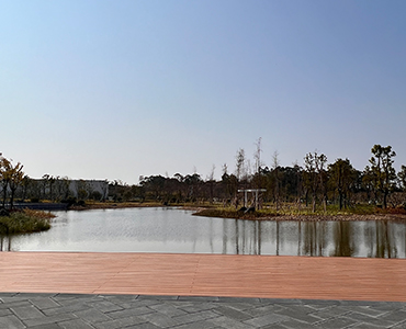 Outdoor WPC Floor