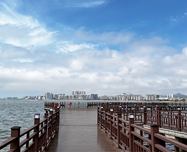 Outdoor WPC Floor